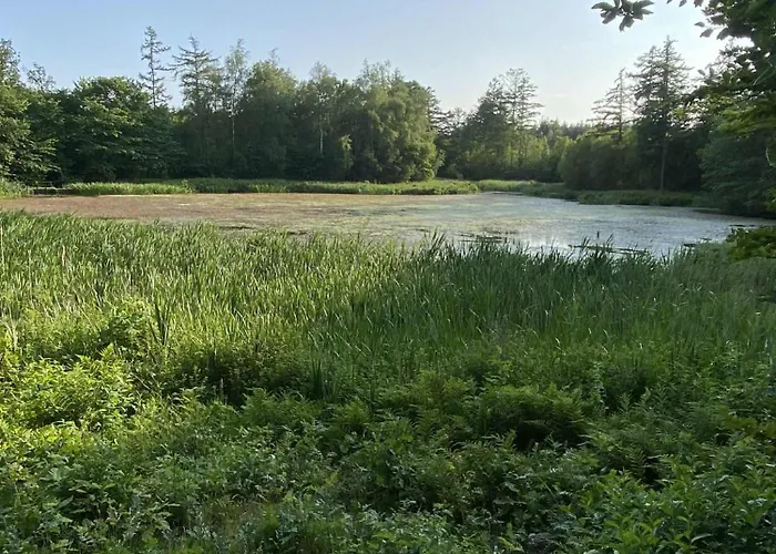 Kobmandsgarden I Blaere